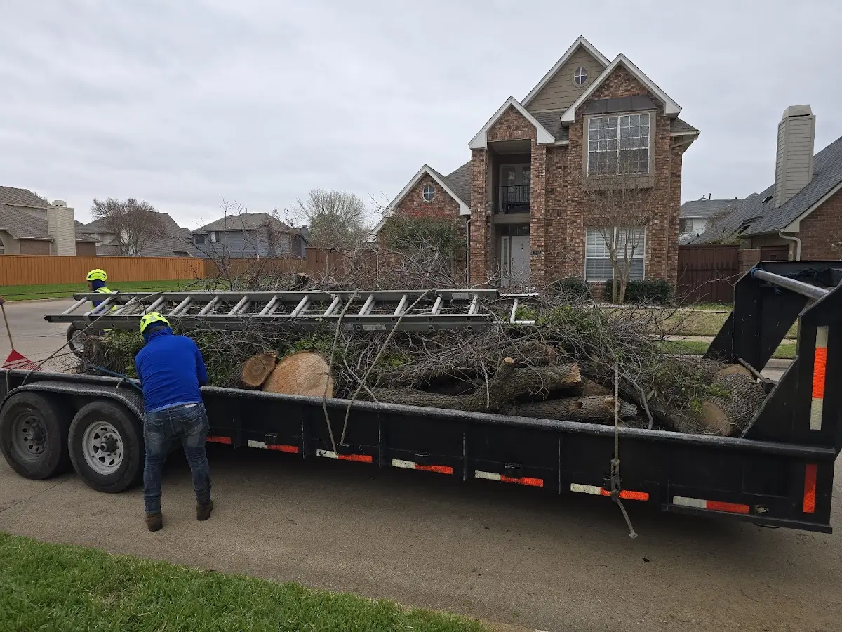Expert Tree Fertilization with proper safety equipment in West Liberty